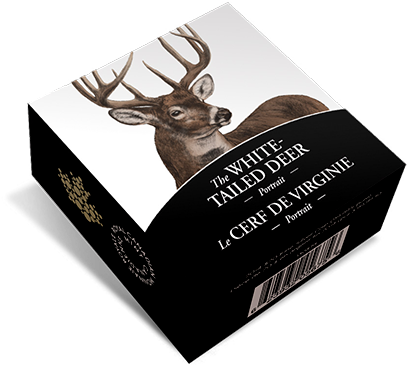 White Tailed Deer Portrait Box PNG image