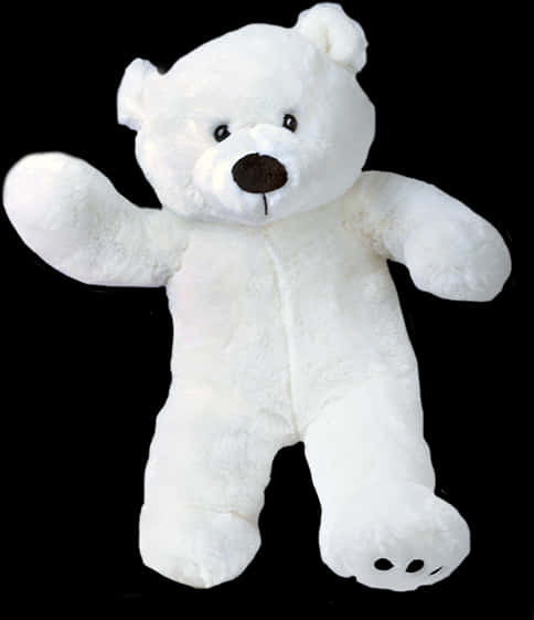 White Teddy Bear Black Background PNG image