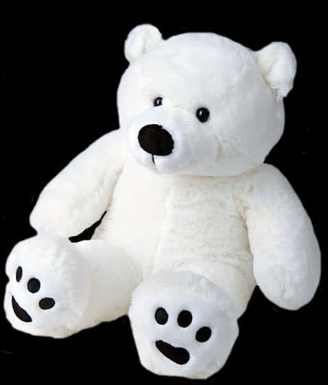 White Teddy Bear Black Background PNG image