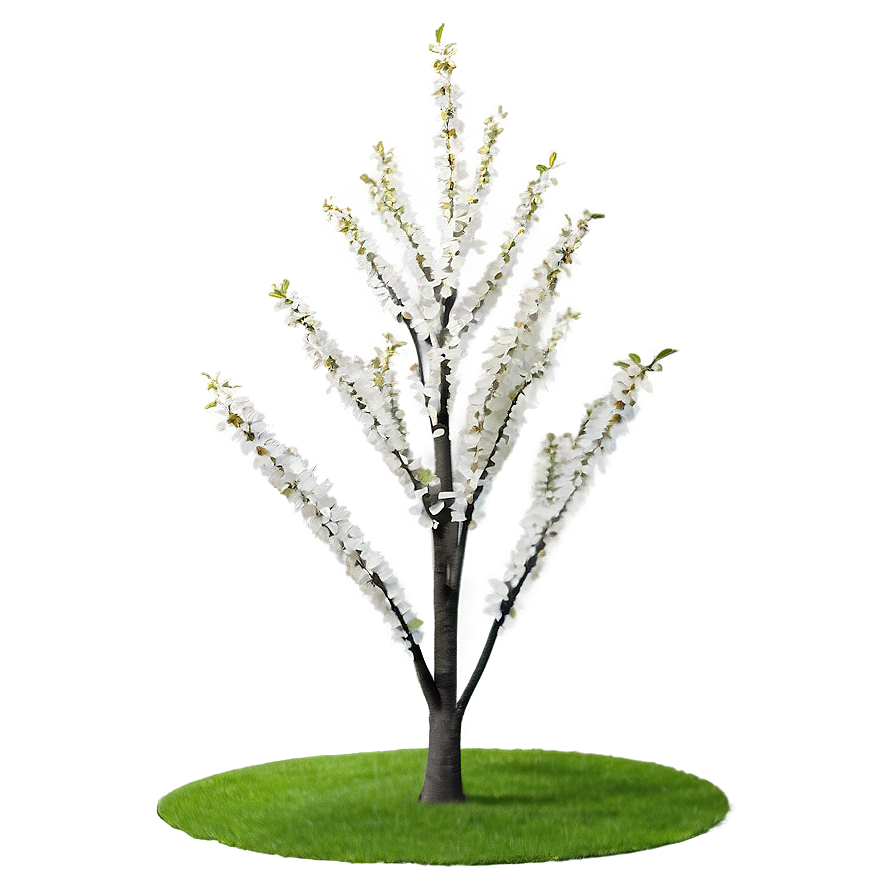 White Tree In Spring Bloom Png Qic PNG image