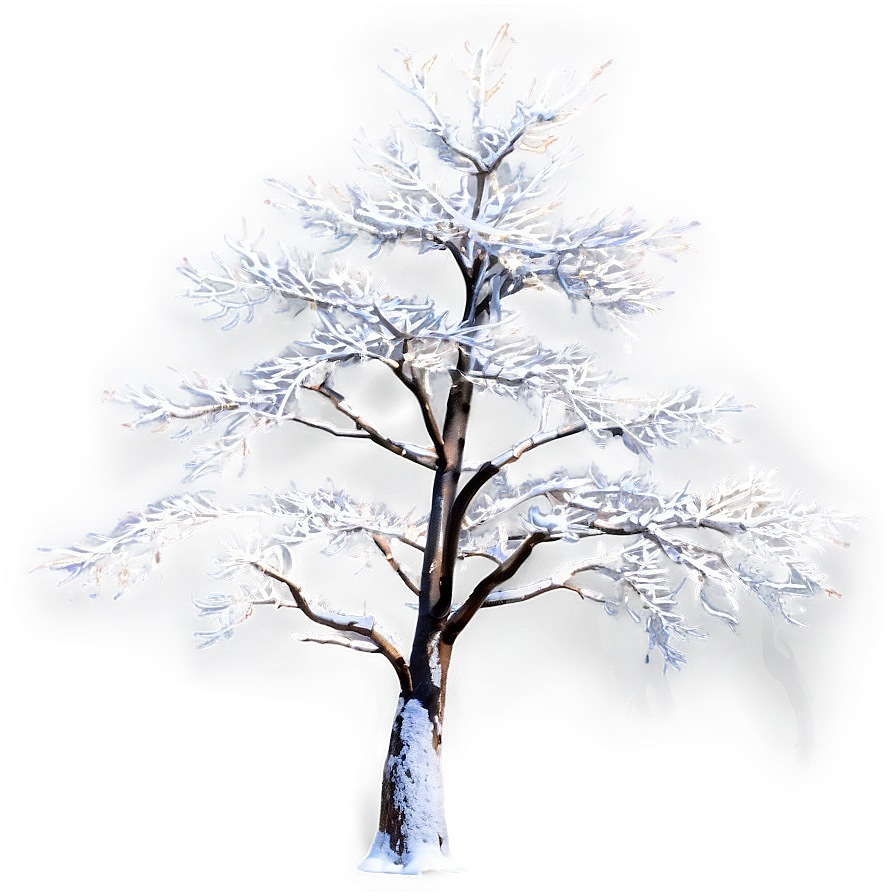 White Tree Png Images (100++)