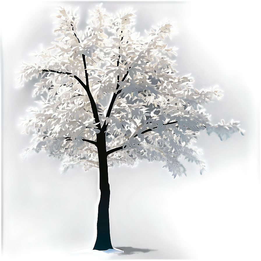 White Tree In Sunlight Glow Png 81 PNG image