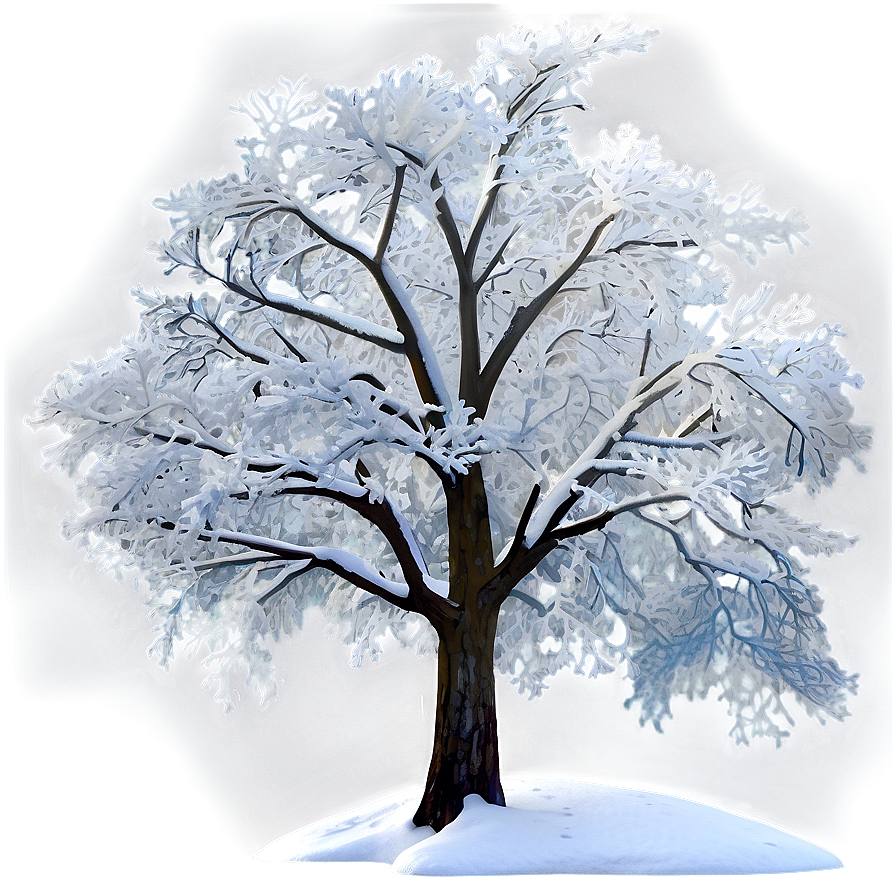 White Tree In Winter Wonderland Png 72 PNG image