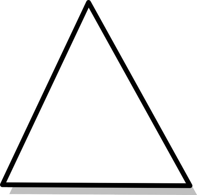 White Triangle Black Outline PNG image