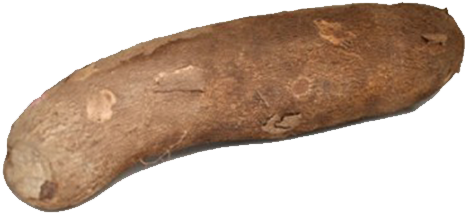 Whole Brown Yam Isolated.png PNG image