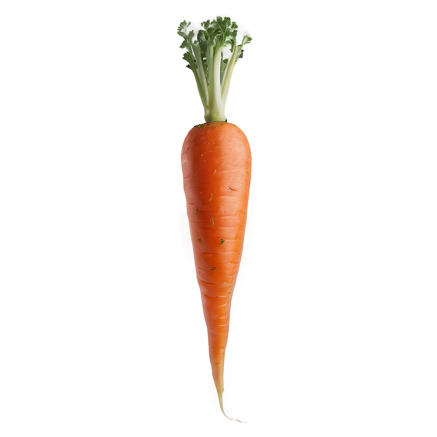 Whole Carrot Png 05242024 PNG image