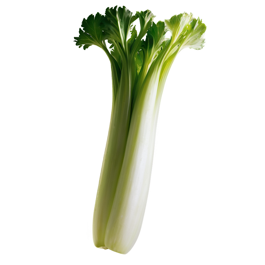 Whole Celery Bunch Png 06252024 PNG image