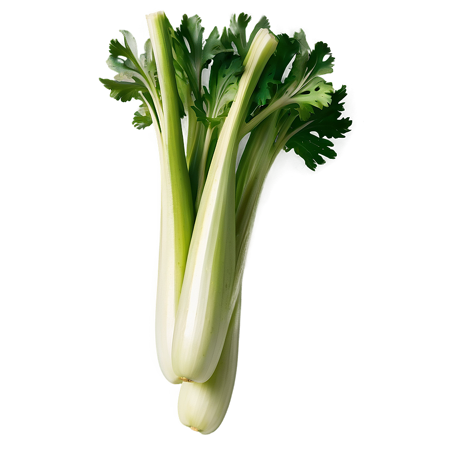 Whole Celery Bunch Png 06252024 PNG image