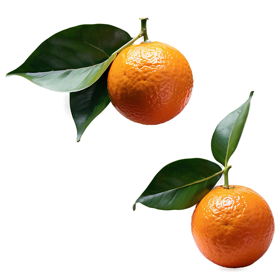 Whole Orange With Leaf Png 28 PNG image