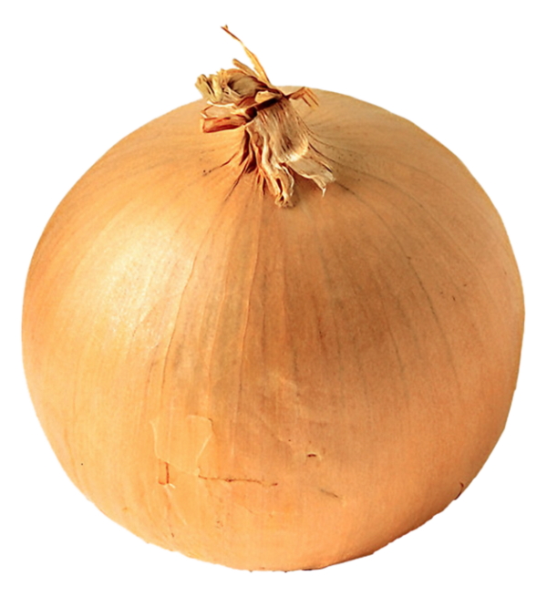Whole Yellow Onion PNG image