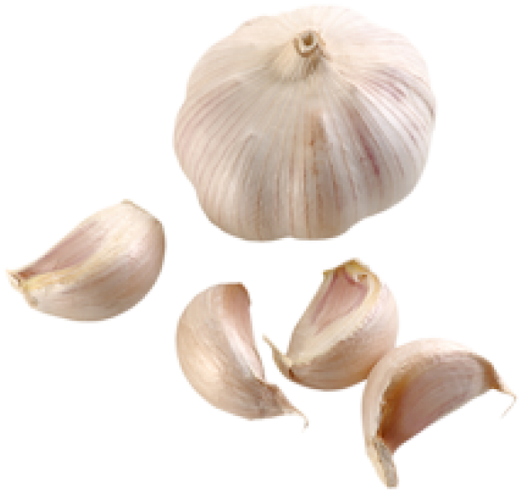 Wholeand Cloves Garlic Isolated PNG image