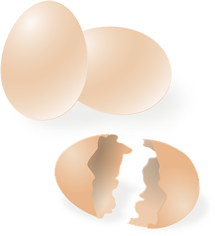 Wholeand Cracked Eggs Illustration PNG image