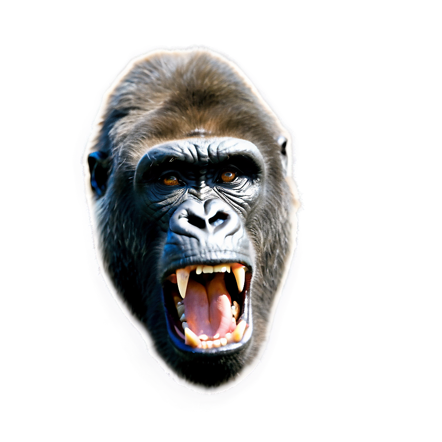 Wild Angry Gorilla Png 06252024 PNG image