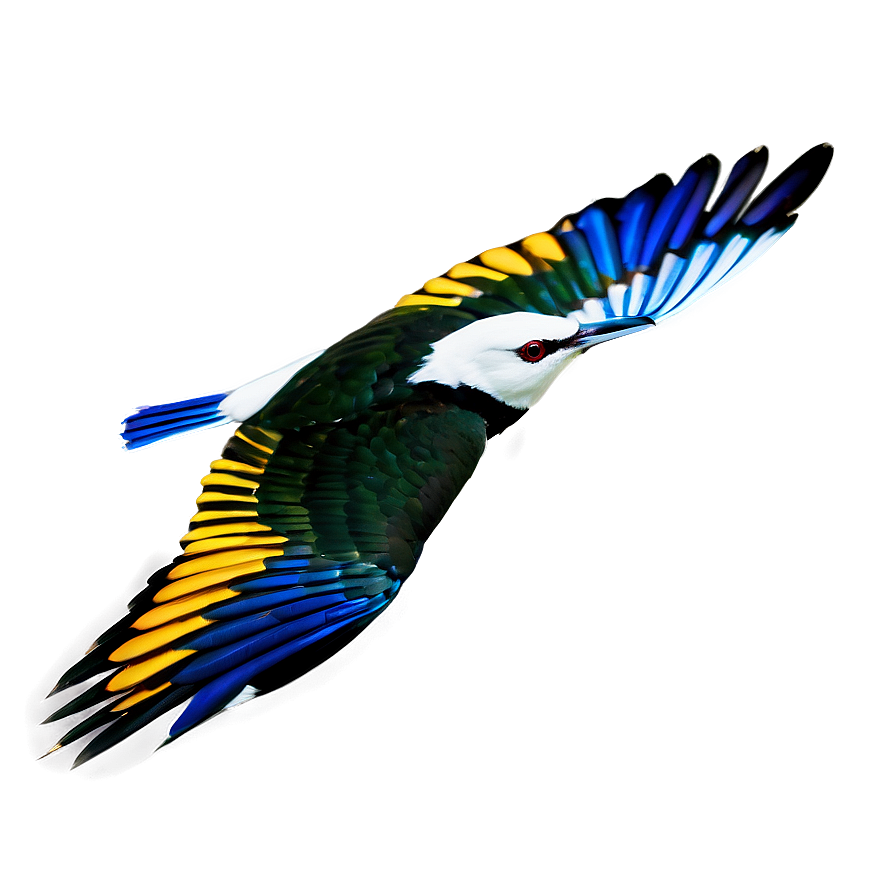 Wild Bird In Flight Png 36 PNG image