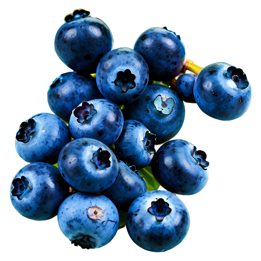 Wild Blueberry Bunch Png 05212024 PNG image