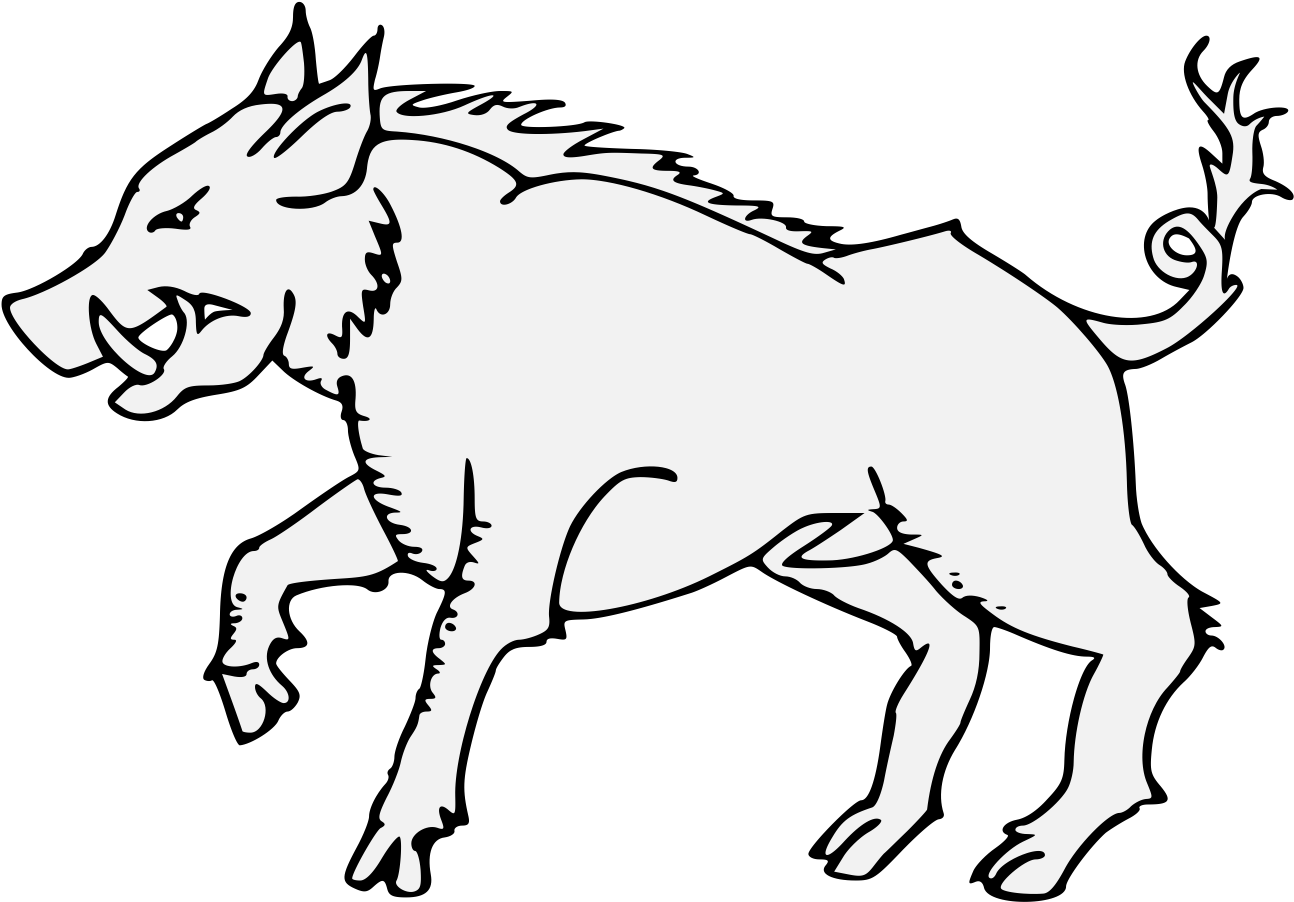 Wild Boar Illustration.png PNG image