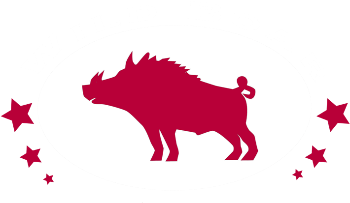 Wild Boar Logo Design PNG image