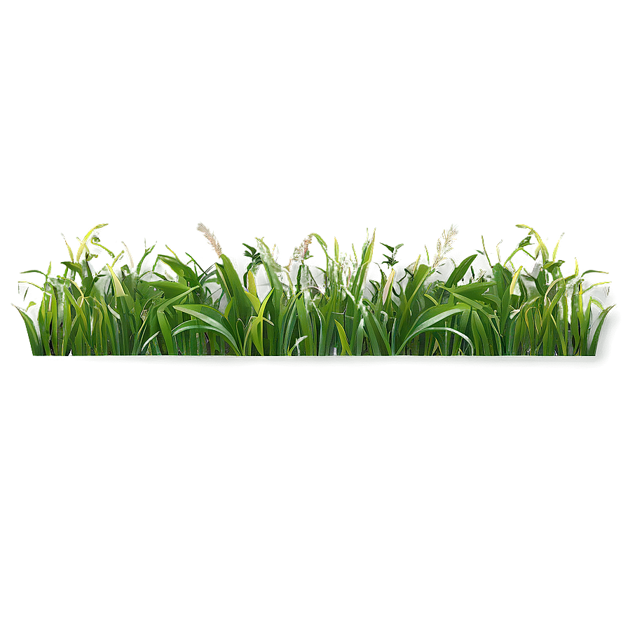 Wild Grass Border Png 31 PNG image