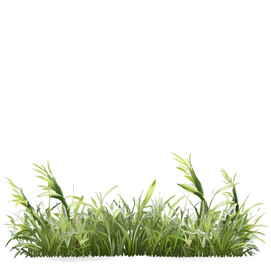 Wild Grass Border Png Hhe89 PNG image