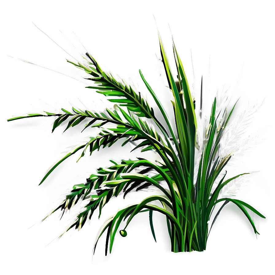 Wild Grass Clipart Png Cir11 PNG image