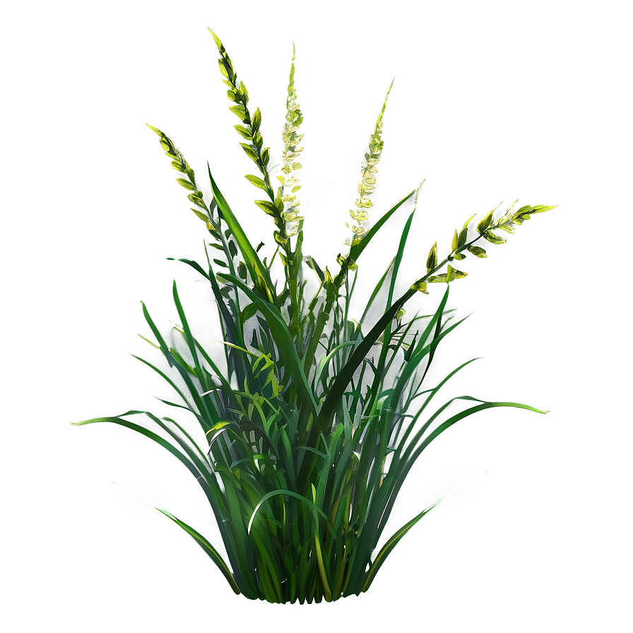 Wild Grass D PNG image