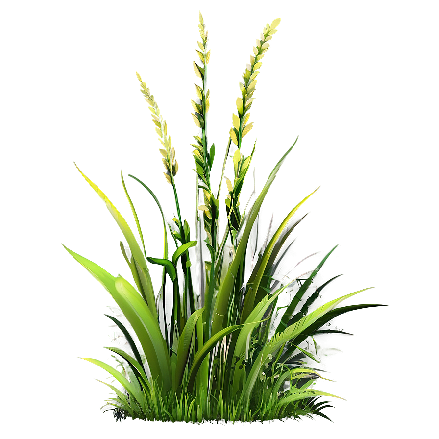 Wild Grass Detail Png 06292024 PNG image