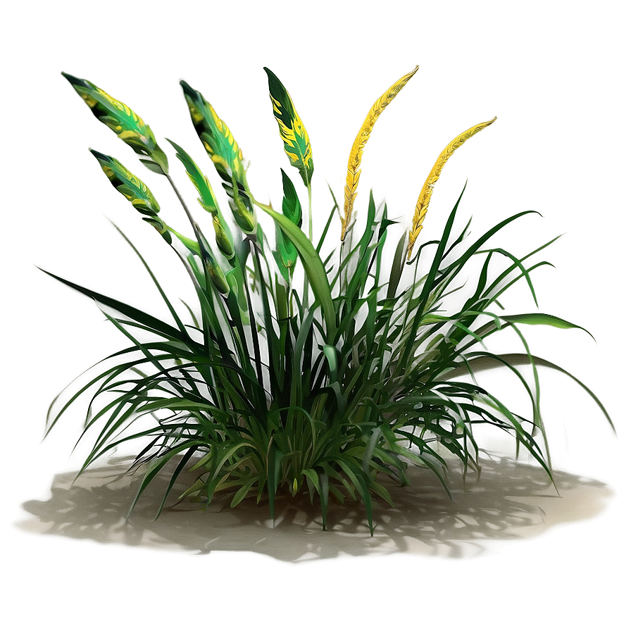 Wild Grass In Shade Png 06292024 PNG image