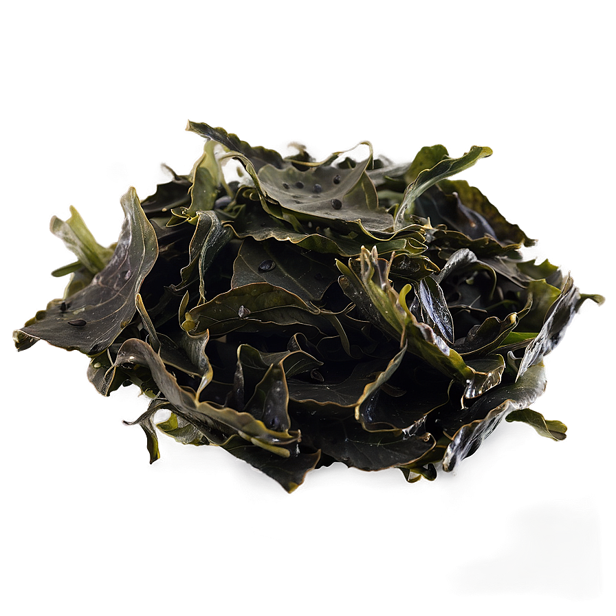 Wild Harvested Seaweed Png Jck19 PNG image