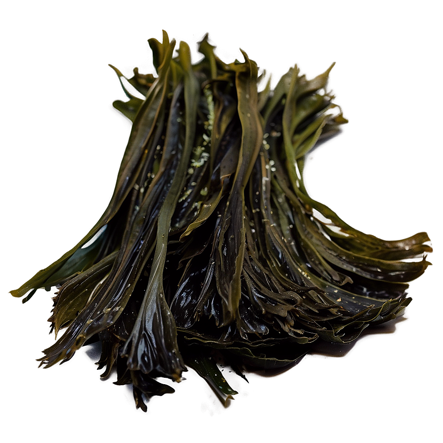 Wild Harvested Seaweed Png Knu58 PNG image