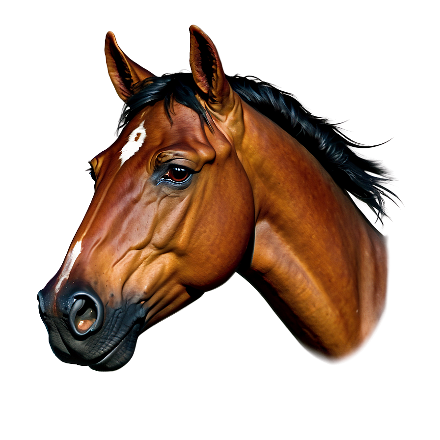 Wild Horse Head Portrait Png 06122024 PNG image