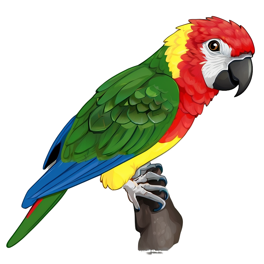 Wild Parrot Png 54 PNG image