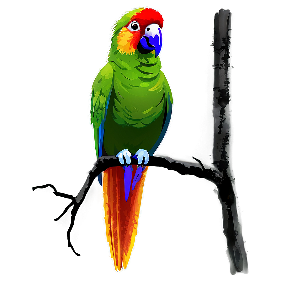 Wild Parrot Png Bcj PNG image