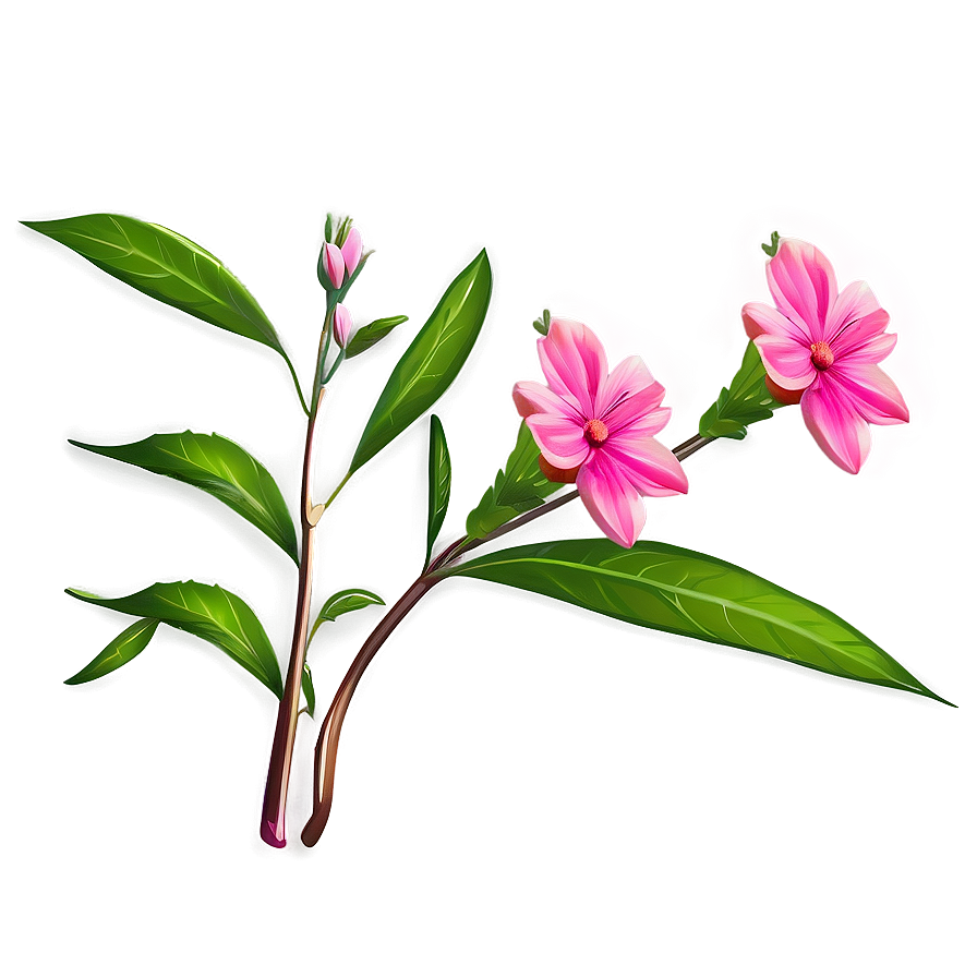 Wild Pink Flowers Png 05242024 PNG image