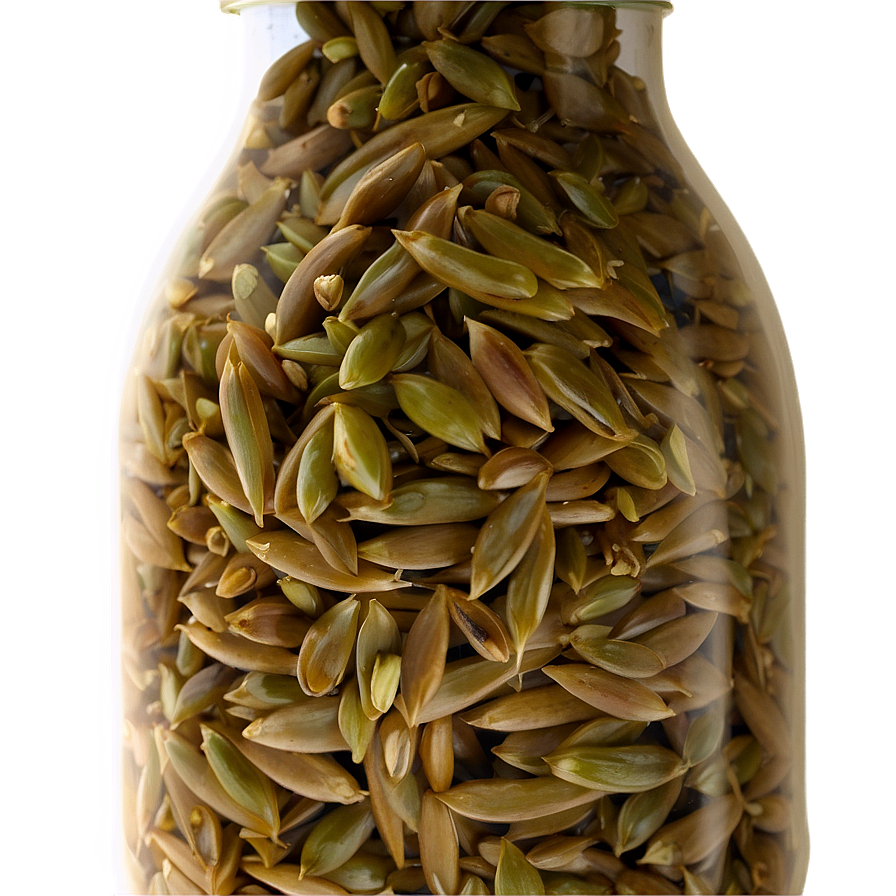 Wild Rice Png 05242024 PNG image