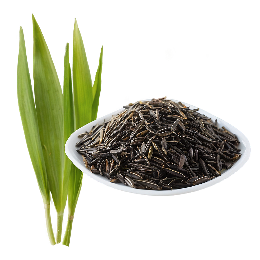 Wild Rice Png Fhg88 PNG image