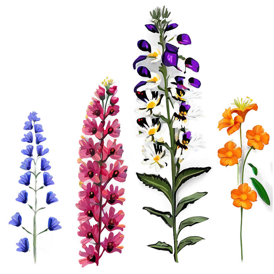 Wildflower Ecstasy Array Png 25 PNG image