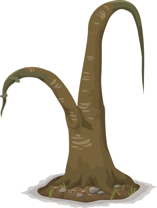 Wilted Tree Graphic PNG image