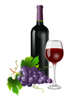 Wine Bottle Glass Grapes Vector PNG image