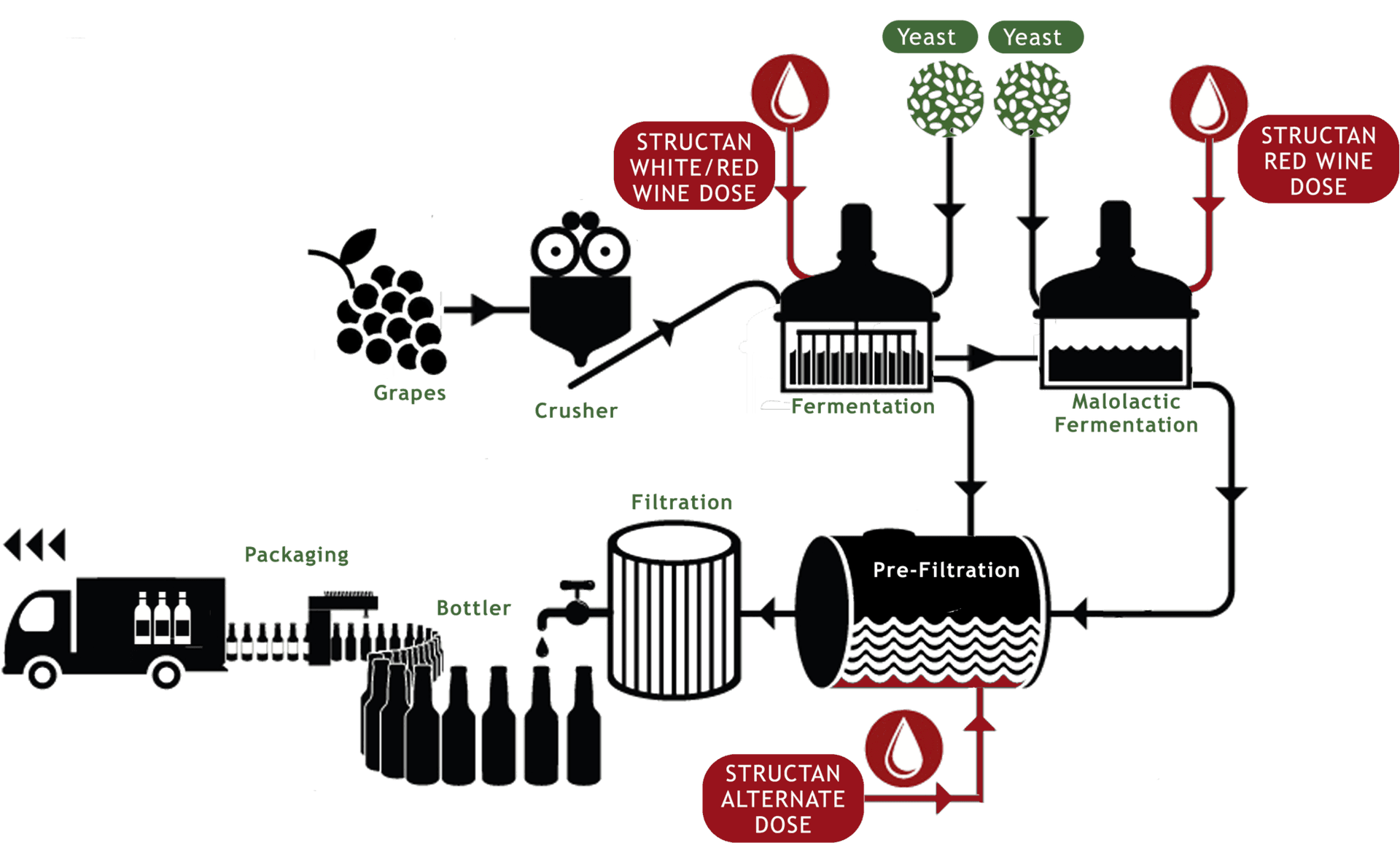 Wine Production Process Flowchart PNG image