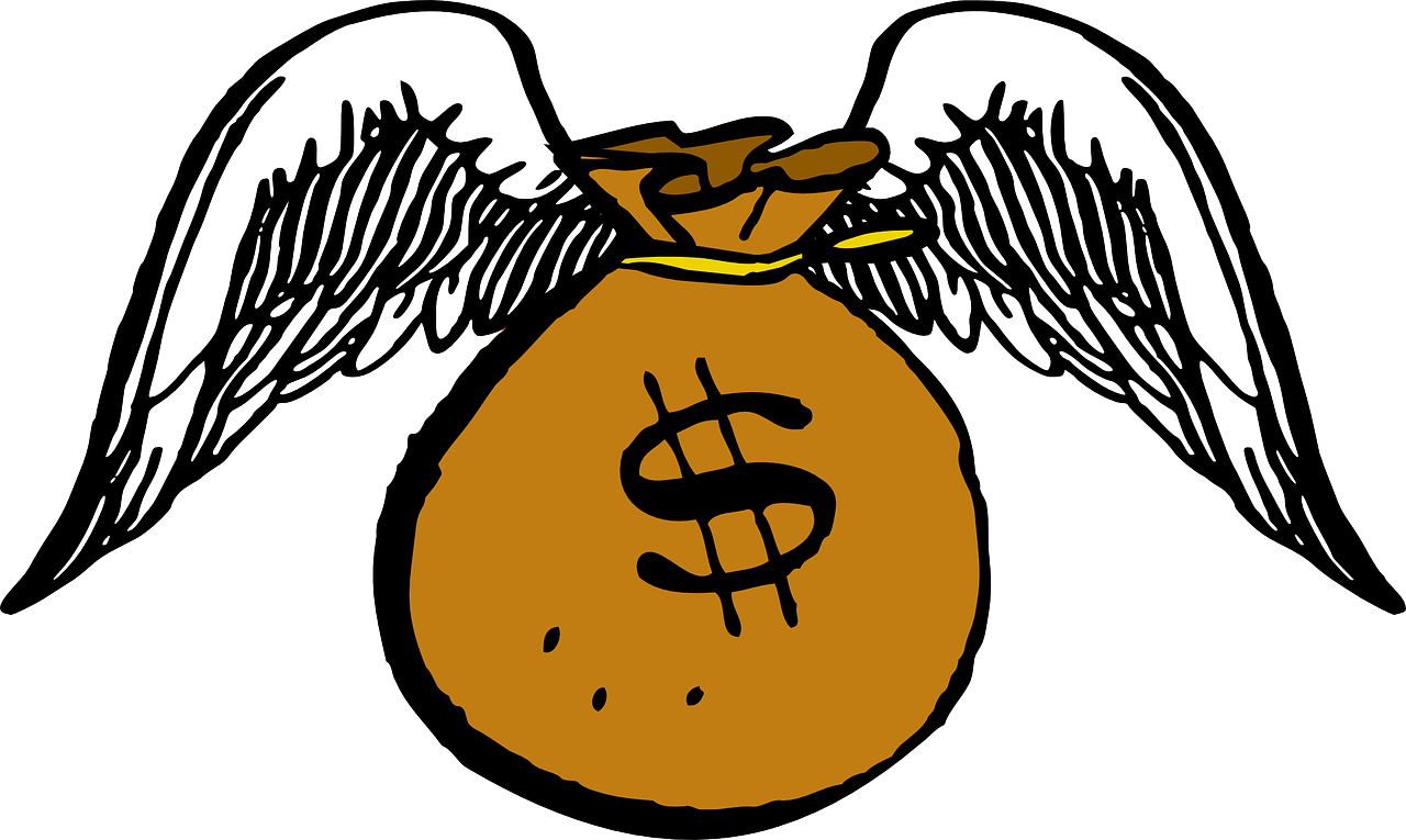 Winged Money Bag Illustration PNG image