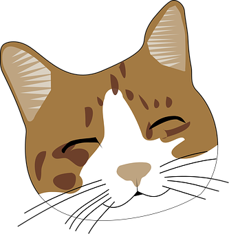 Winking Brown Cat Cartoon PNG image