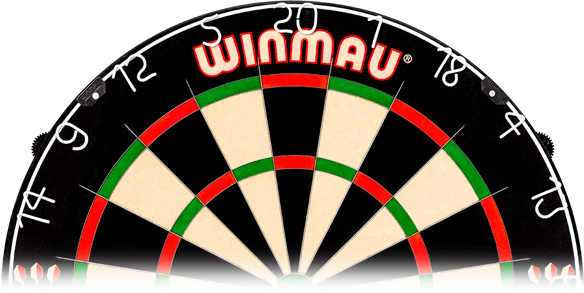 Winmau Dartboard Professional Setup PNG image