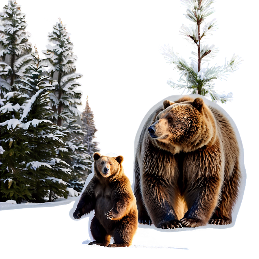 Winter Bear Png Qcu PNG image