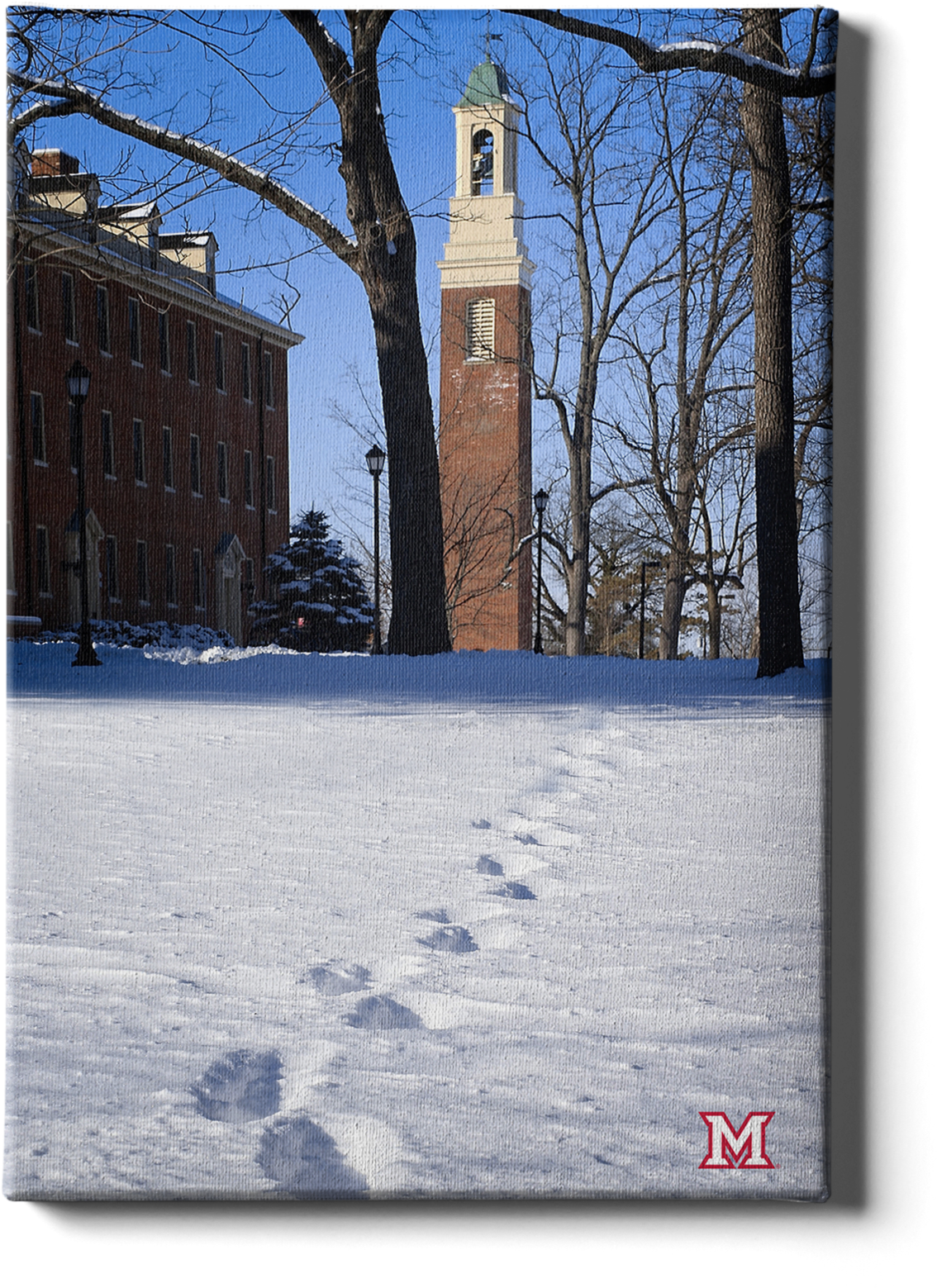 Winter_ Campus_ Snowy_ Footprints PNG image