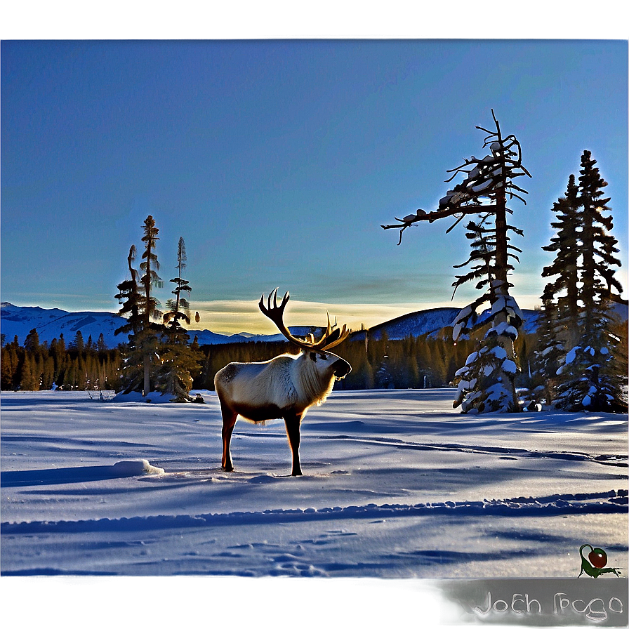 Winter Caribou Landscape Png 40 PNG image