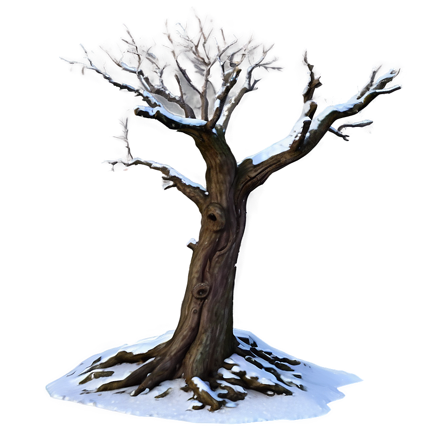 Winter Dead Tree Png 05252024 PNG image
