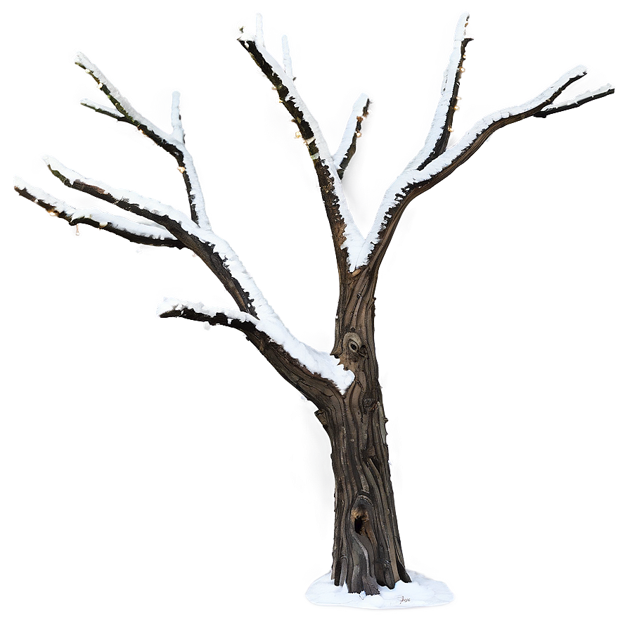 Winter Dead Tree Png 62 PNG image