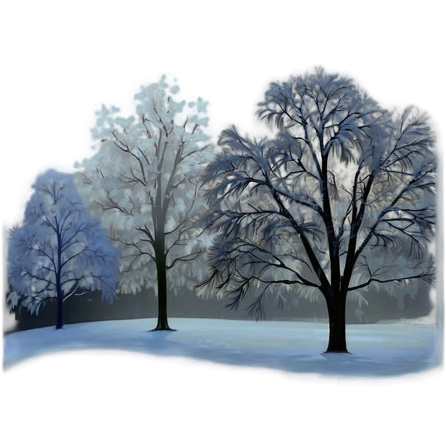 Winter Fog Transparent Png 05262024 PNG image