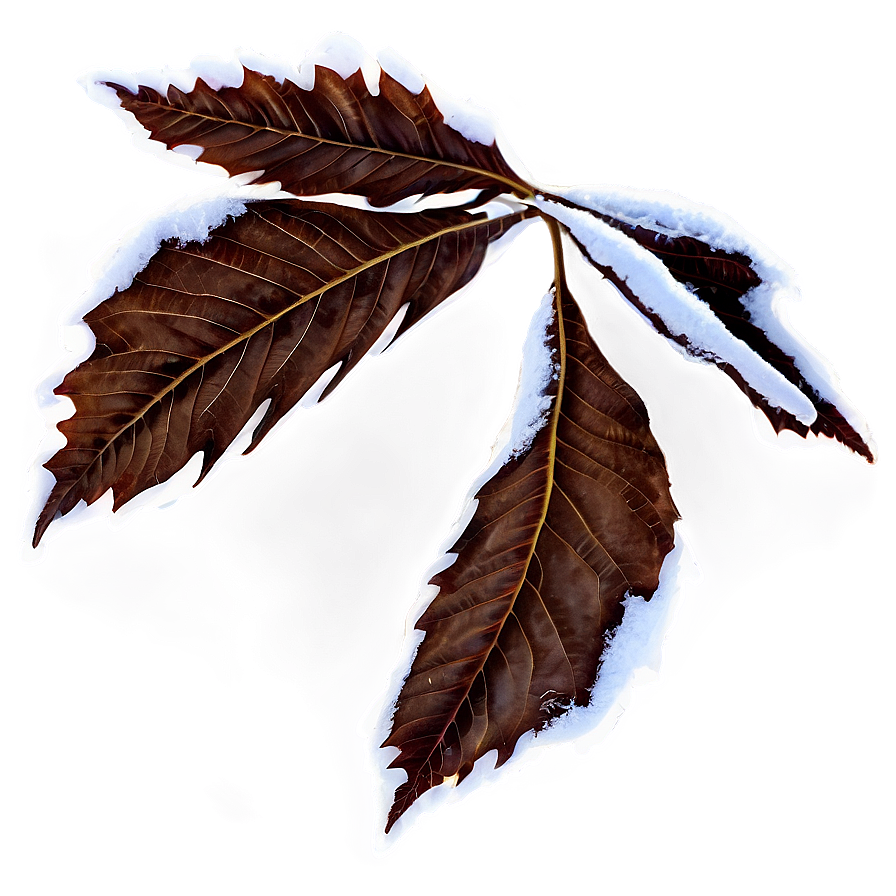 Winter Leaves Png 05042024 PNG image