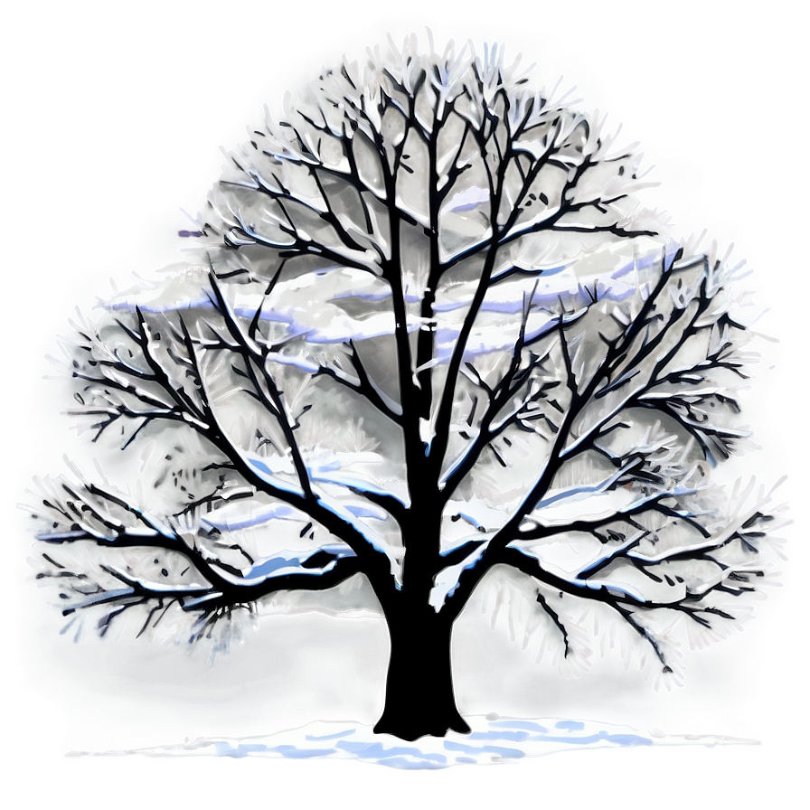 Winter Magnolia Tree Silhouette Png Mfd84 PNG image